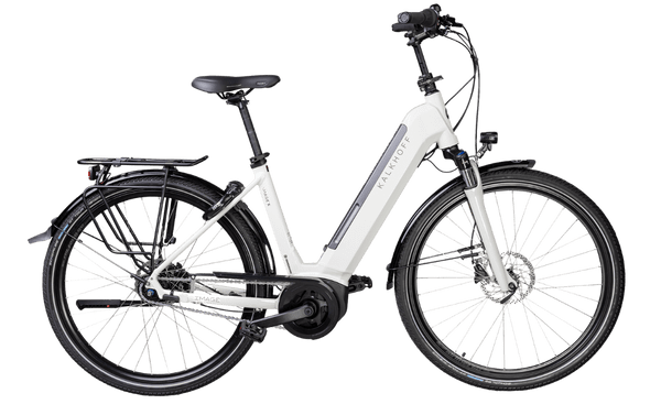 Cargo bike - Cestino - noleggio eBike Movelo Italia
